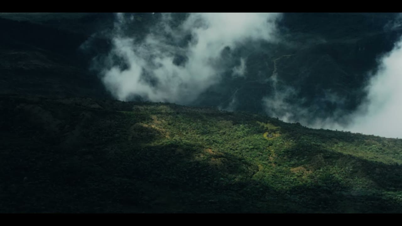 Chelsea Wolfe — Tunnel Lights (Director George Gallardo Kattah)