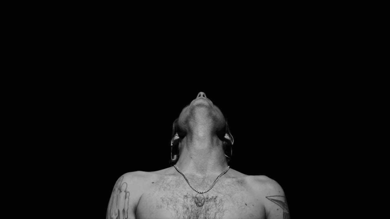 AWOLNATION — Passion